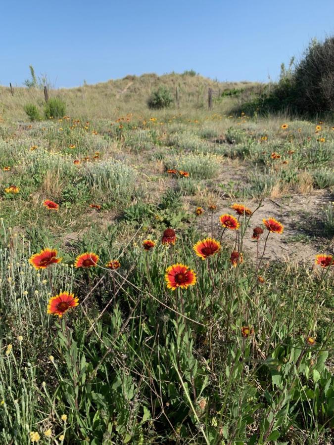 Mon Petit Paradis, Vue Sur Dunes Et Mer, Acces Direct Plage Robinson, Terrasse, Parking Prive, Tres Ressourcant, A Marseillan Plage 외부 사진