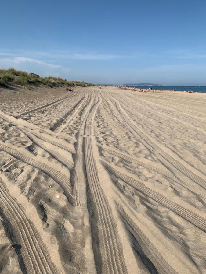 Mon Petit Paradis, Vue Sur Dunes Et Mer, Acces Direct Plage Robinson, Terrasse, Parking Prive, Tres Ressourcant, A Marseillan Plage 외부 사진