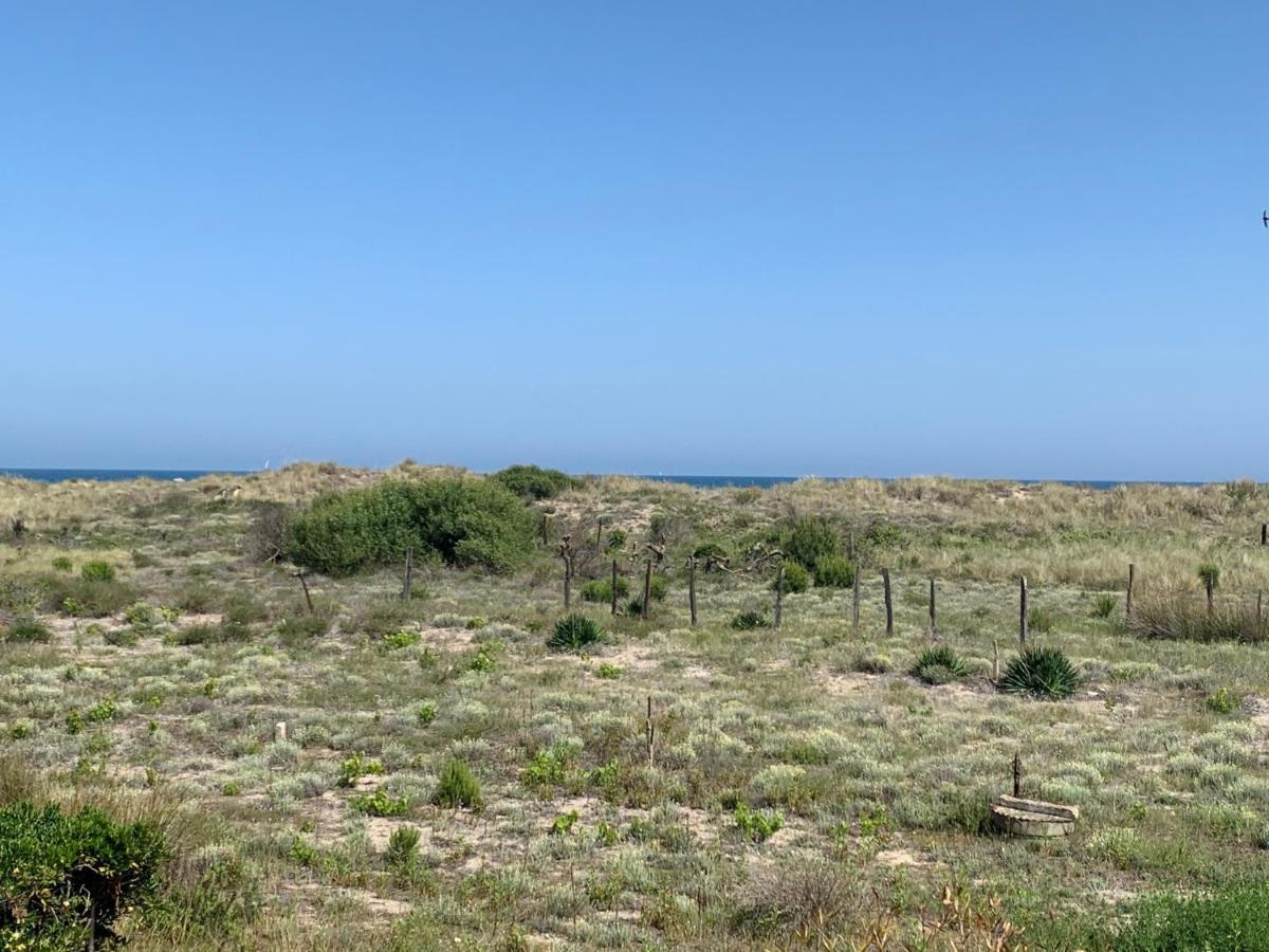 Mon Petit Paradis, Vue Sur Dunes Et Mer, Acces Direct Plage Robinson, Terrasse, Parking Prive, Tres Ressourcant, A Marseillan Plage 외부 사진